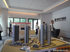 但愿您能通过这个